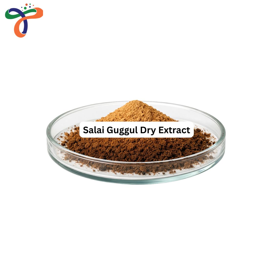 Salai Guggul Dry Extract